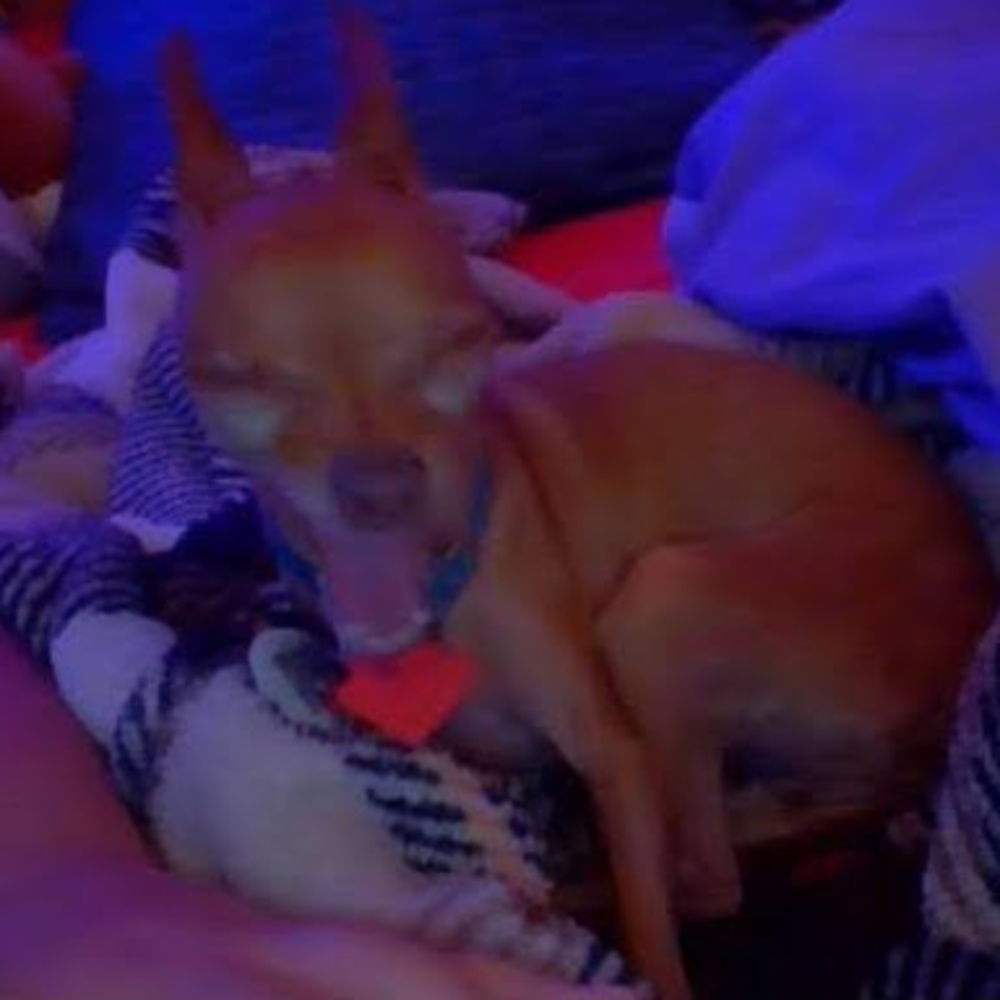 Meet your Posher, Ruby